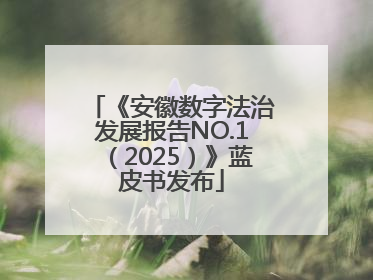 《安徽数字法治发展报告NO.1（2025）》蓝皮书发布