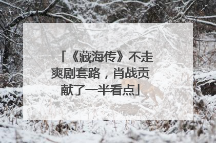 《藏海传》不走爽剧套路，肖战贡献了一半看点