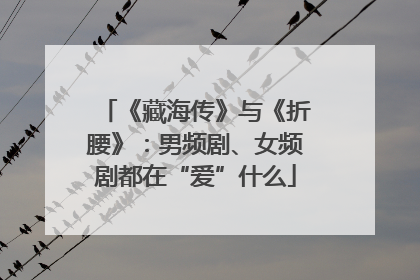 《藏海传》与《折腰》：男频剧、女频剧都在“爱”什么