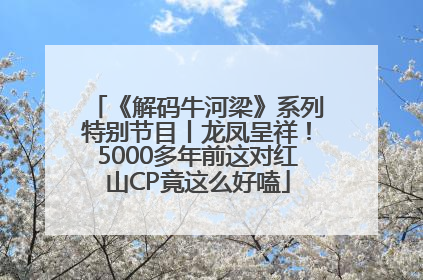 《解码牛河梁》系列特别节目丨龙凤呈祥！5000多年前这对红山CP竟这么好嗑