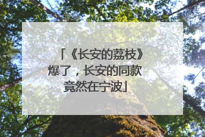 《长安的荔枝》爆了，长安的同款竟然在宁波