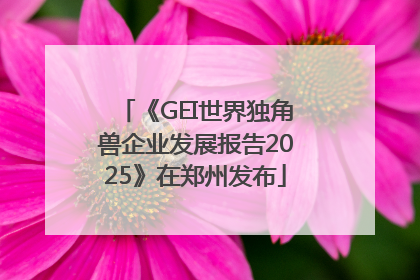 《GEI世界独角兽企业发展报告2025》在郑州发布