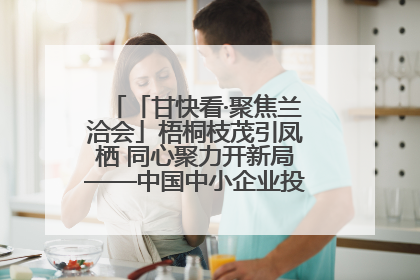 「甘快看·聚焦兰洽会」梧桐枝茂引凤栖 同心聚力开新局——中国中小企业投资洽谈会侧记