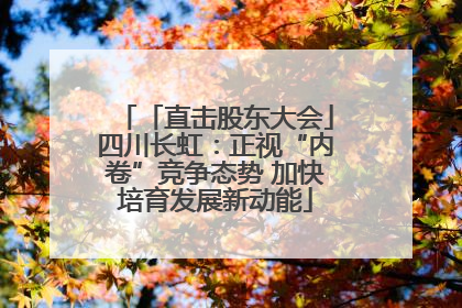 「直击股东大会」四川长虹：正视“内卷”竞争态势 加快培育发展新动能
