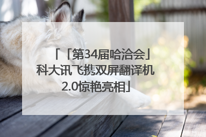 「第34届哈洽会」科大讯飞携双屏翻译机2.0惊艳亮相