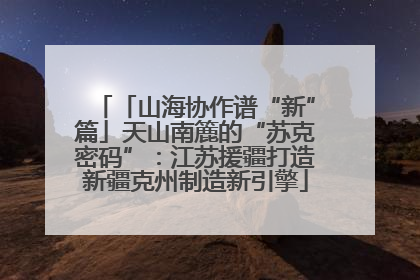 「山海协作谱“新”篇」天山南簏的“苏克密码”：江苏援疆打造新疆克州制造新引擎