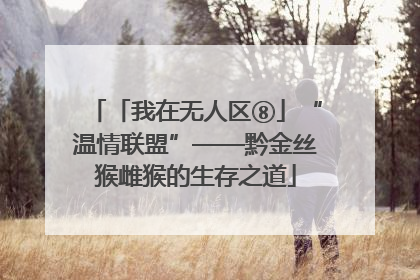 「我在无人区⑧」“温情联盟”——黔金丝猴雌猴的生存之道