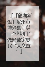 「蒲湖新语」滨州市博兴县：以“小切口”做好数字惠民“大文章”