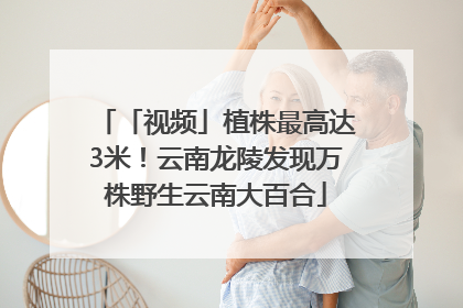 「视频」植株最高达3米！云南龙陵发现万株野生云南大百合