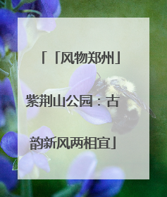 「风物郑州」紫荆山公园：古韵新风两相宜