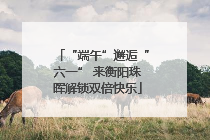 “端午”邂逅“六一” 来衡阳珠晖解锁双倍快乐
