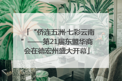 “侨连五洲·七彩云南”——第21届东盟华商会在德宏州盛大开幕