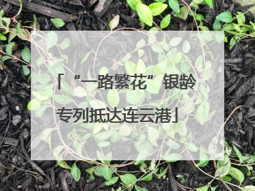 “一路繁花”银龄专列抵达连云港