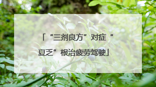 “三剂良方”对症“夏乏”根治疲劳驾驶