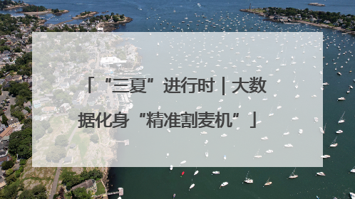 “三夏”进行时｜大数据化身“精准割麦机”