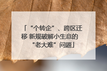 “个转企”、跨区迁移 新规破解小生意的“老大难”问题