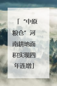 “中原粮仓”河南耕地面积实现四年连增