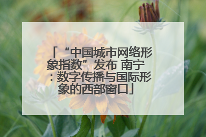 “中国城市网络形象指数”发布 南宁：数字传播与国际形象的西部窗口