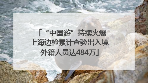 “中国游”持续火爆 上海边检累计查验出入境外籍人员达484万