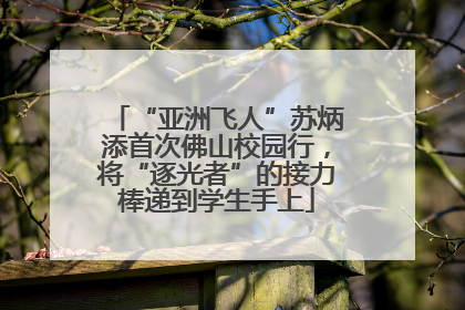 “亚洲飞人”苏炳添首次佛山校园行，将“逐光者”的接力棒递到学生手上