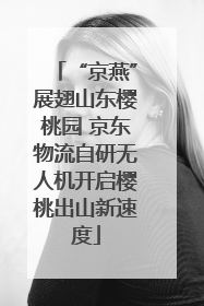 “京燕”展翅山东樱桃园 京东物流自研无人机开启樱桃出山新速度