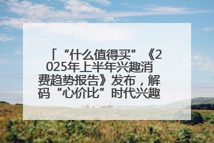 “什么值得买”《2025年上半年兴趣消费趋势报告》发布，解码“心价比”时代兴趣消费新范式