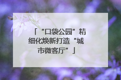“口袋公园”精细化焕新打造“城市微客厅”