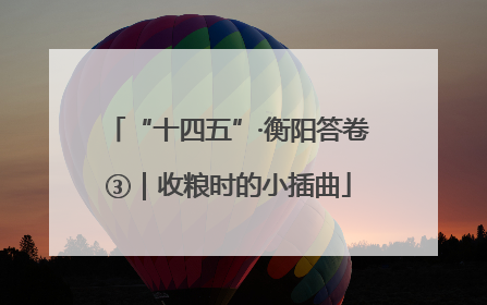 “十四五”·衡阳答卷③｜收粮时的小插曲