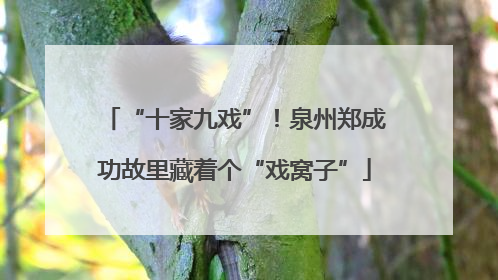 “十家九戏”！泉州郑成功故里藏着个“戏窝子”