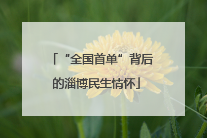 “全国首单”背后的淄博民生情怀
