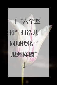 “六个坚持”打造共同现代化“瓜州样板”