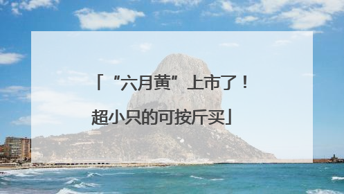 “六月黄”上市了！超小只的可按斤买