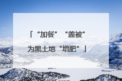 “加餐”“盖被” 为黑土地“增肥”