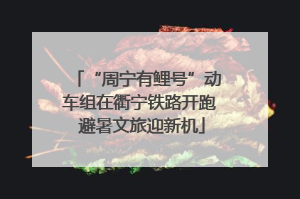 “周宁有鲤号”动车组在衢宁铁路开跑 避暑文旅迎新机