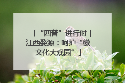 “四普”进行时｜江西婺源：呵护“徽文化大观园”