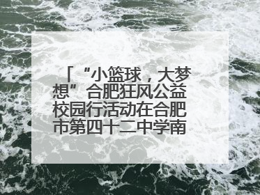 “小篮球，大梦想”合肥狂风公益校园行活动在合肥市第四十二中学南城分校圆满落幕