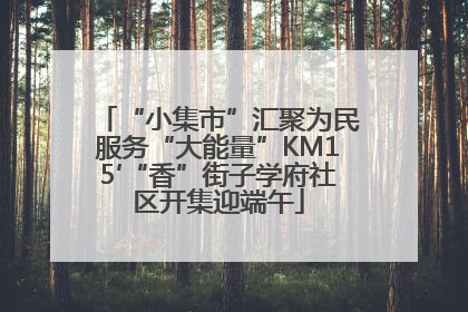“小集市”汇聚为民服务“大能量”KM15′“香”街子学府社区开集迎端午