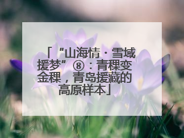 “山海情・雪域援梦”⑧：青稞变金稞，青岛援藏的高原样本