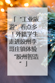 “工业旅游”看点多！外籍学生走进胶州李哥庄镇体验“胶州智造”
