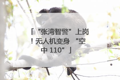 “张湾智警”上岗！无人机变身 “空中 110”