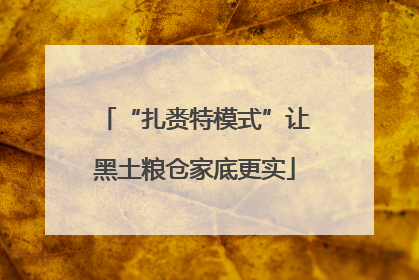 “扎赉特模式”让黑土粮仓家底更实