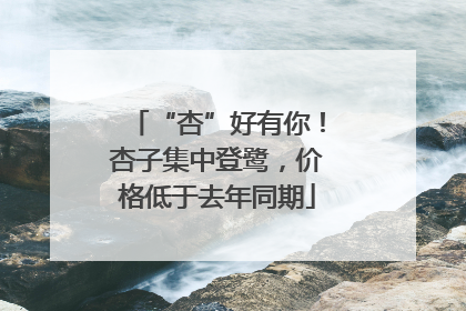 “杏”好有你！杏子集中登鹭，价格低于去年同期