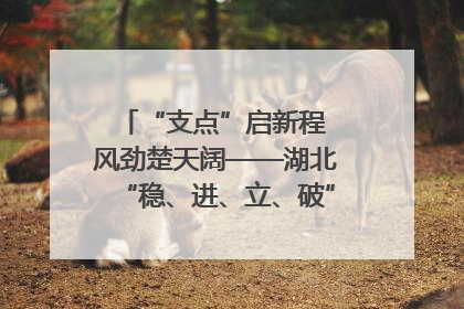 “支点”启新程 风劲楚天阔——湖北“稳、进、立、破”谱写“荆”彩篇章