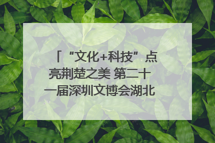 “文化+科技”点亮荆楚之美 第二十一届深圳文博会湖北馆抢“鲜”看