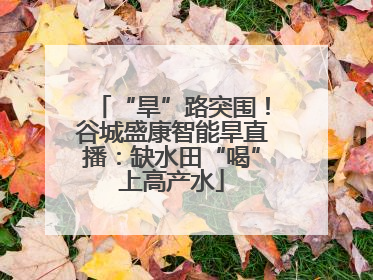 “旱”路突围！谷城盛康智能旱直播：缺水田“喝”上高产水