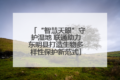 “智慧天眼”守护湿地 联通助力东明县打造生物多样性保护新范式