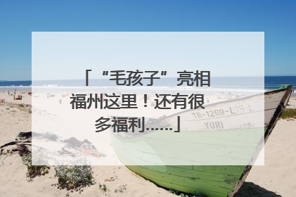“毛孩子”亮相福州这里！还有很多福利……