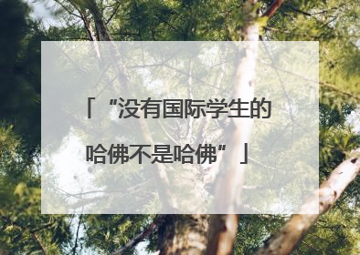 “没有国际学生的哈佛不是哈佛”