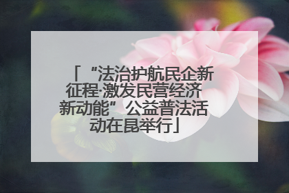 “法治护航民企新征程·激发民营经济新动能”公益普法活动在昆举行