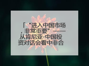 “进入中国市场，非常重要”——从肯尼亚-中国投资对话会看中非合作机遇